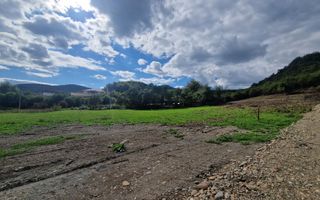 Teren intravilan/extravilan, 5 parcele - Viisoara - Poză 1