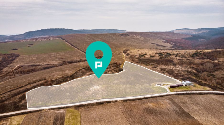 Proprietate de 115 HA cu vie de calitate! - Poză 1