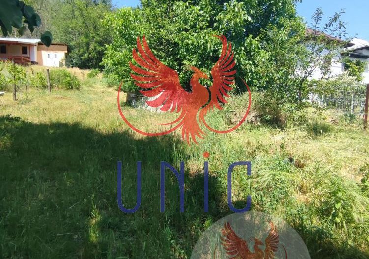 Teren intravilan Cernatesti - Poză 7