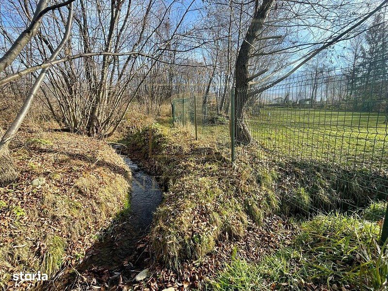 Teren 3349 mp de Vânzare | Bran – Panoramă Munții Bucegi - Poză 13