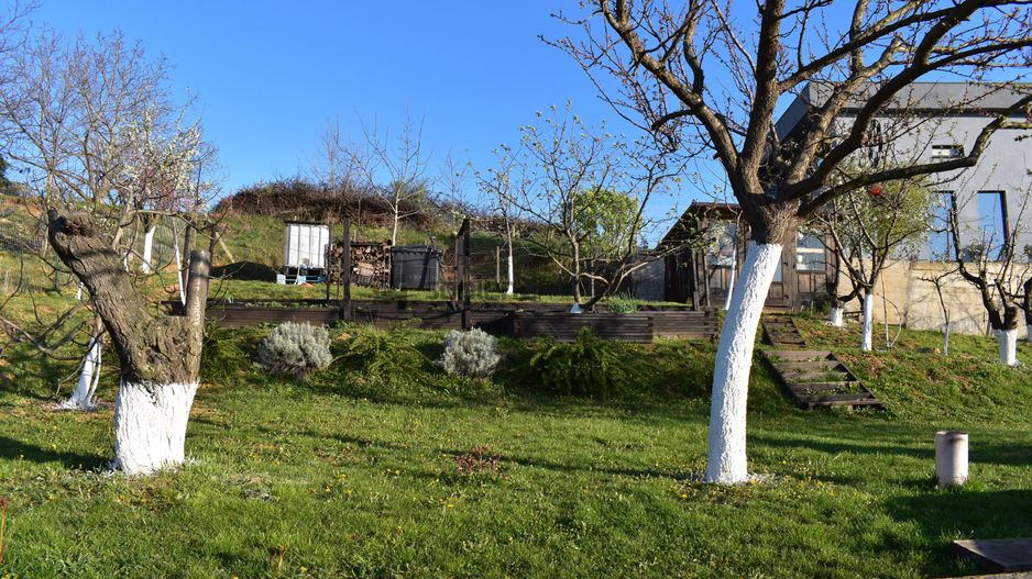 Casa 4 camere cu Panorama Superba in Oncea - Poză 33