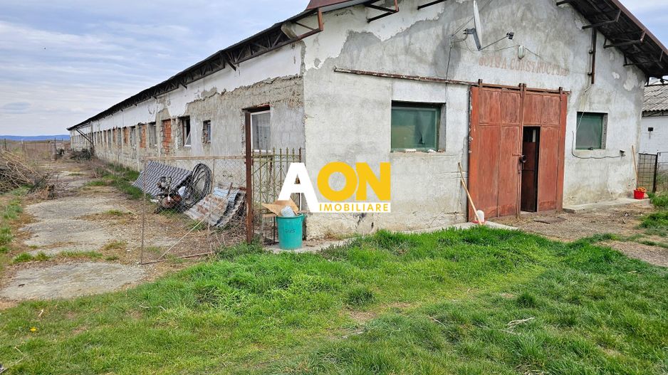 2 Hale pt.depozitare sau productie, 6100 teren, Lunca Muresului - Poză 3