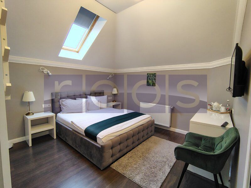 VILA EXCEPTIONALA PARCUL CAROL |  5 STUDIOURI | SPATIU HORECA FUNCTIONAL | - Poză 6