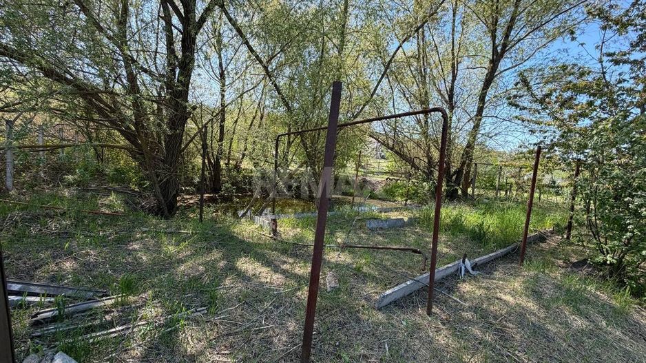 Lot Pomicol Truseni I.P. Alfa-Agro - Poză 3