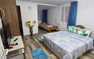 Casa de vacanta | Investitie | zona montana - padure | Arges | Leresti - Poză 12