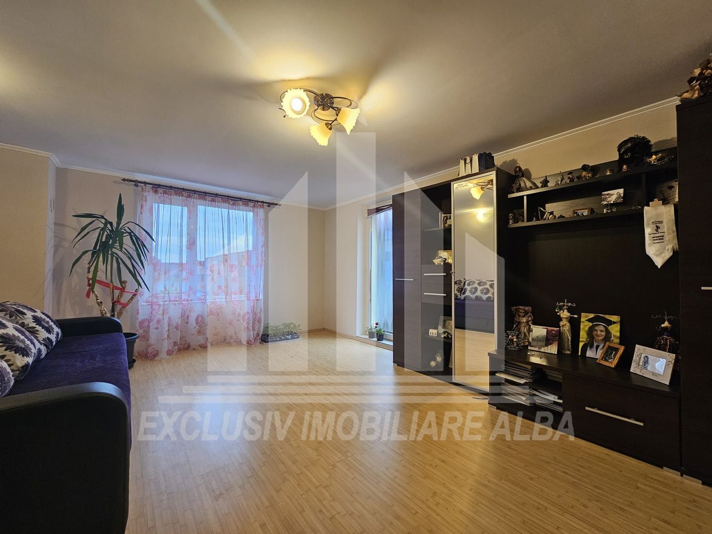 Casa individuala de vanzare, Cetate - Poză 12