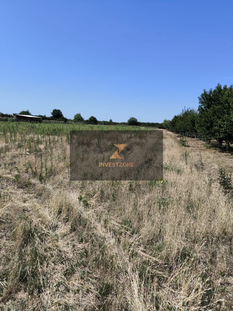 Teren intravilan Biharia 11058 mp - Poză 3