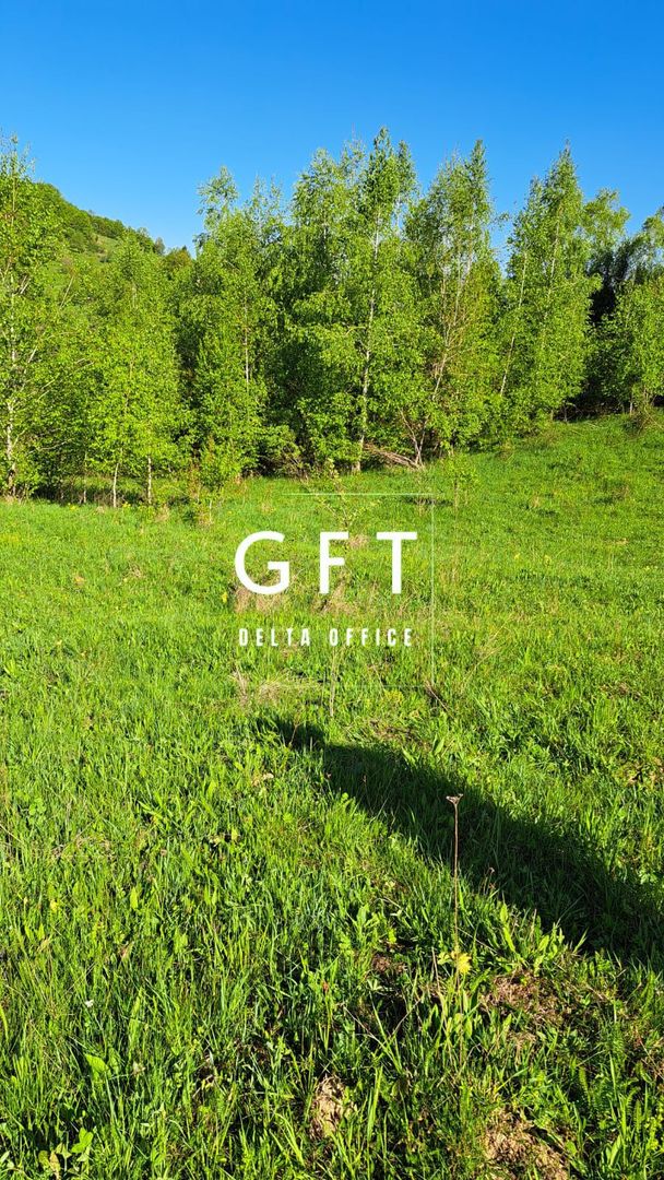 Teren extravilan de vanzare, Bistrita Bargaului- 10 minute de Colibita - Poză 18