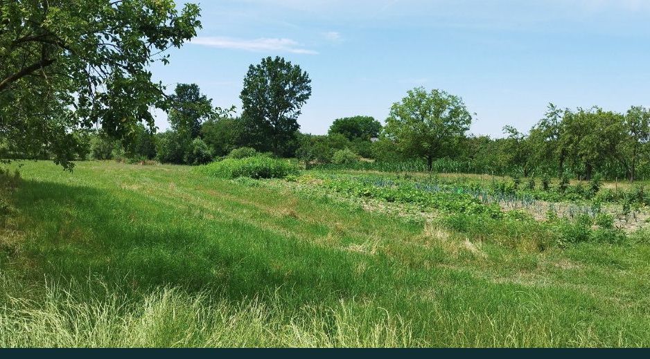 Casa si teren de vanzare - Poză 5