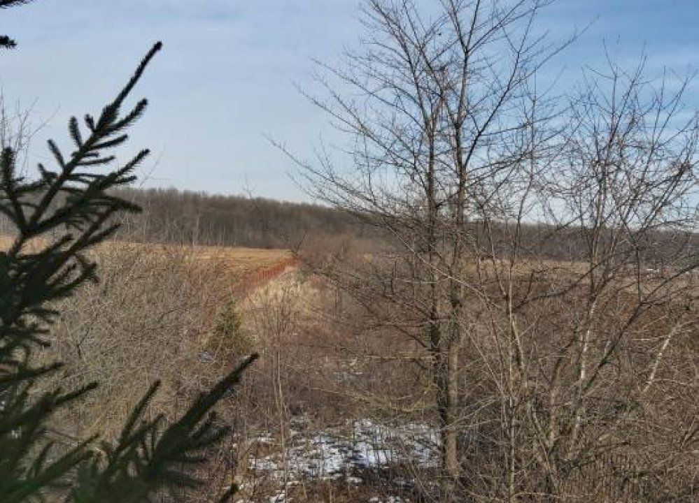 Teren la 35 km de Bucuresti - Izvorani - Ciolpani - Poză 11