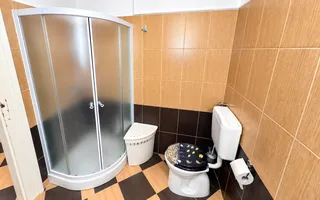 De vânzare/ închiriat Apartament istoric, 2 camere, Central Arad - Poză 18