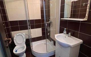 Apartament 1 camera de inchiriat in Dancu, mobilat si utilat - Poză 3