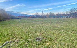 EXCLUSIV | TEREN INTRAVILAN | INVESTIȚIE | BEIUȘ – STR. PLOPILOR | 13.500 MP - Poză 5