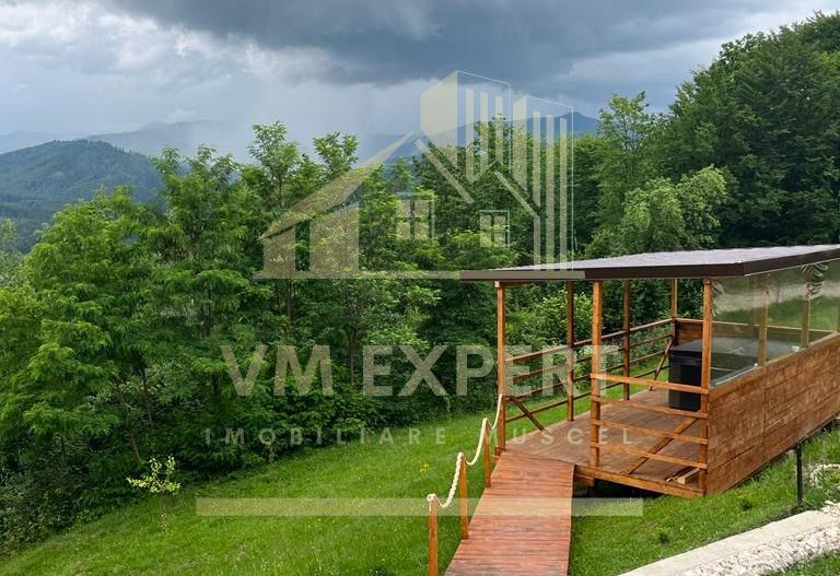CASA 3 CAMERE, TEREN 3100 MP, ALBESTI DE MUSCEL, ARGES - Poză 14