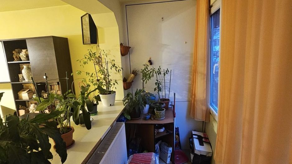 Apartament 3 decomandate- Brazda lui Novac - Poză 11