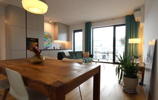 Ultracentral, prima inchiriere, Paltim.