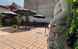 Vila de vanzare in zona Centrala/Orasul de jos - Poză 51