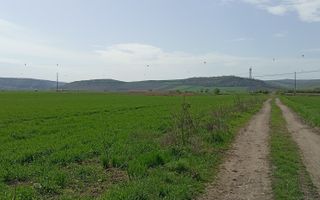 ‼️OPORTUNITATE DE INVESTIȚIE‼️ Teren Zona Ungheni | 44376 mp - Poză 3