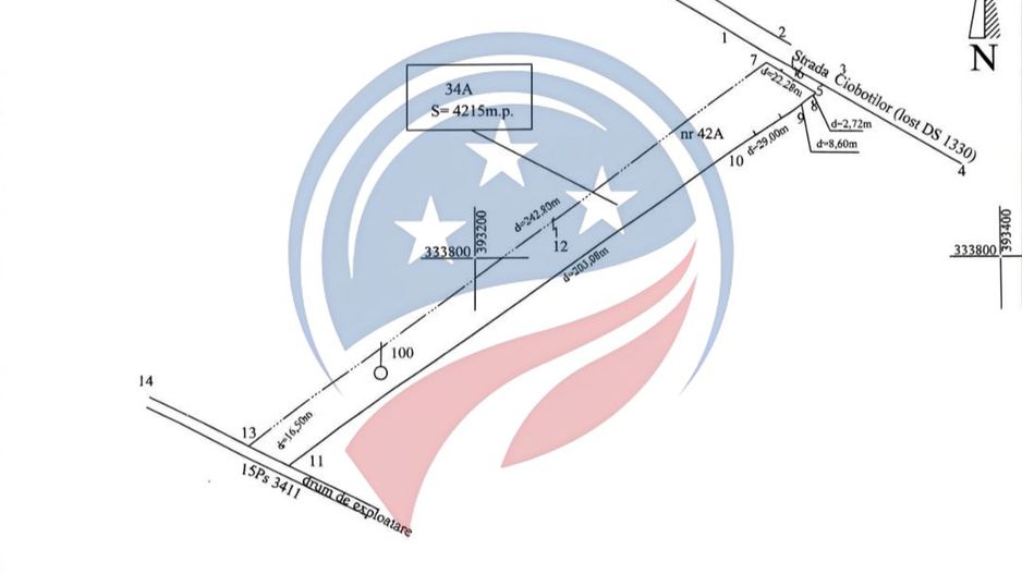 TEREN DE VANZARE IN BRADESTII BATRANI  -4300 mp intravilan - Poză 3
