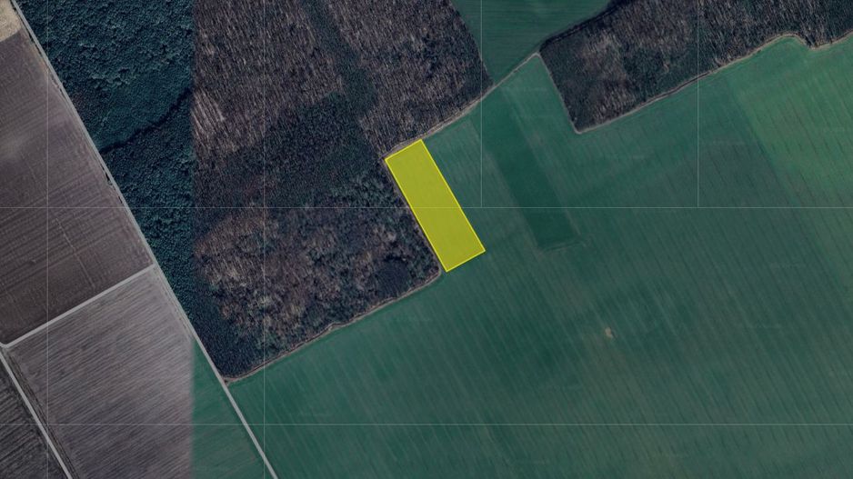 Teren excelent pozitionat cu doua laturi padure - Poză 1