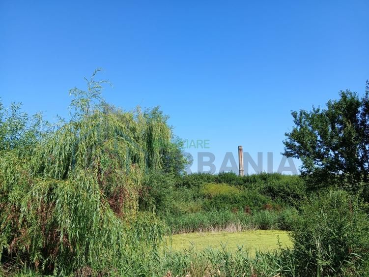 Casă de vânzare – Lunca Cetățuii, comuna Ciurea - Poză 13