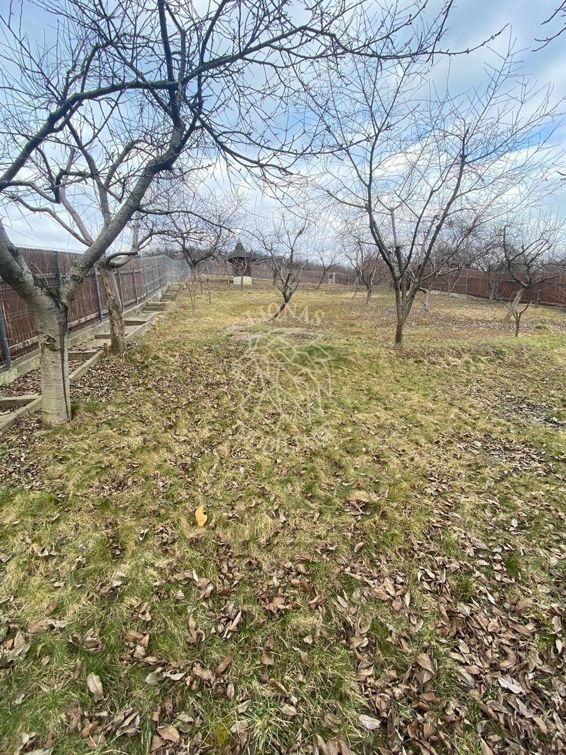 Teren intravilan 1000 mp+magazie-ideal casa-imprejmuit-Valea Rusului - Poză 4