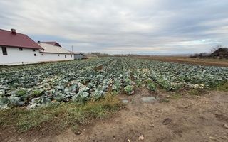 Teren 9.000 mp | Milișăuți | Intravilan | Front 38 m | 149.000 € - Poză 1