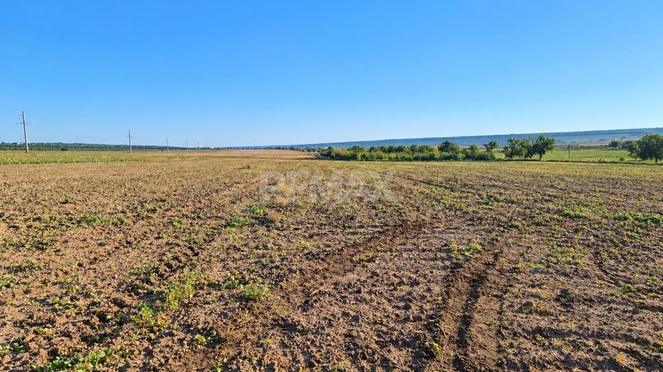 4,85 HA CU DESCHIDERE DE 300 M LA TRASEU | CRIULENI – SLOBOZIA-DUȘCA - Poză 4