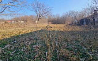 Oportunitate casa demolabila cu teren 1600m Padure Draganesti - Poză 11