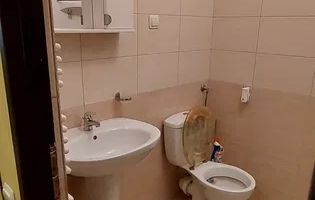 Garsoniera de inchiriat in Prelungirea Ghencea - Poză 6