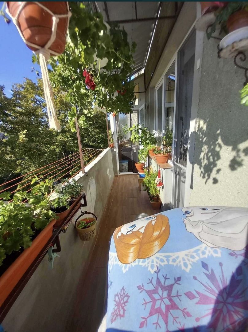 Apartament cu 2 camere pe Drumul Careiului - Poză 6