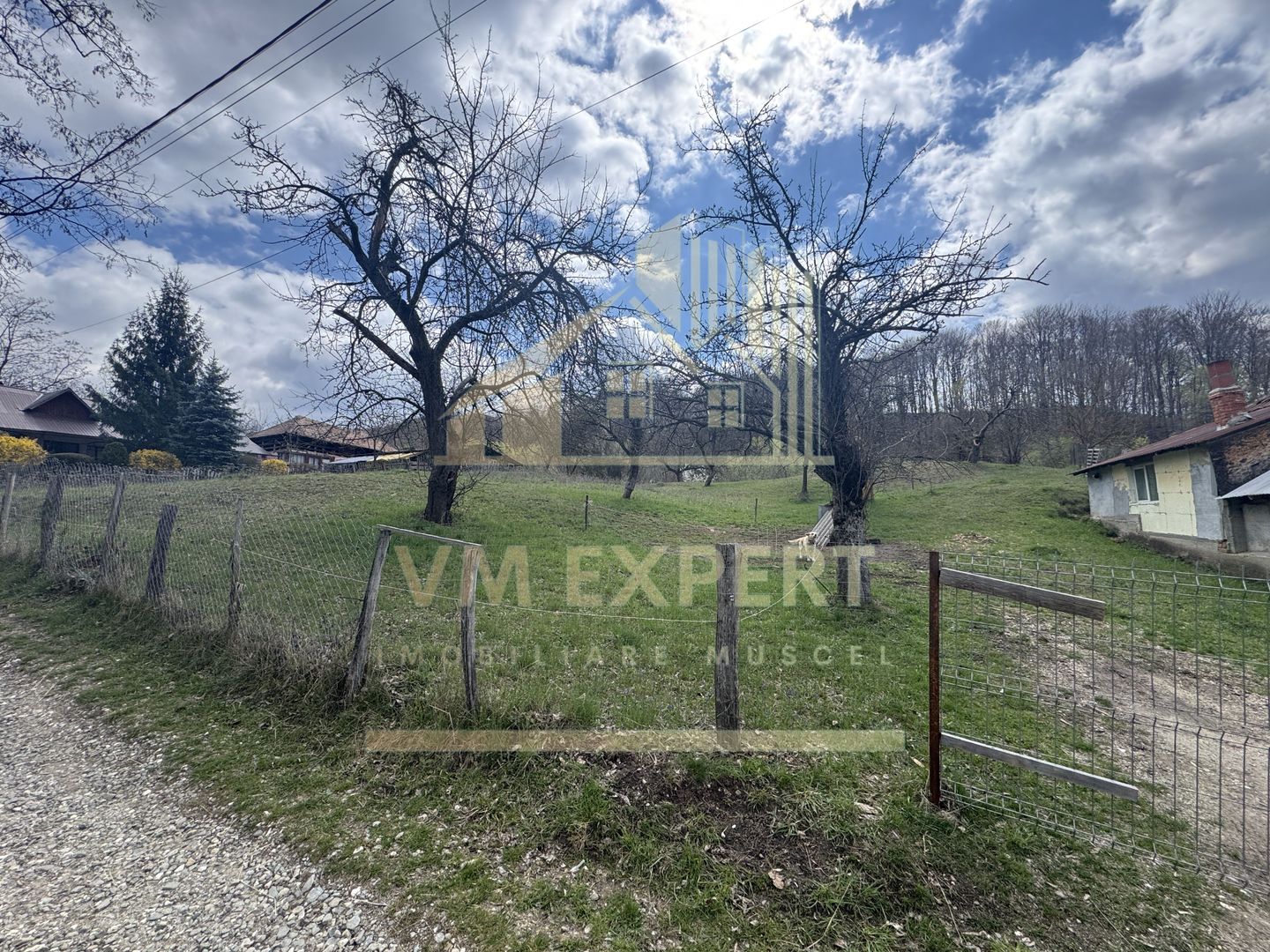 TEREN INTRAVILAN 4365 MP POENARII DE MUȘCEL  JUDEȚUL ARGES - Poză 19