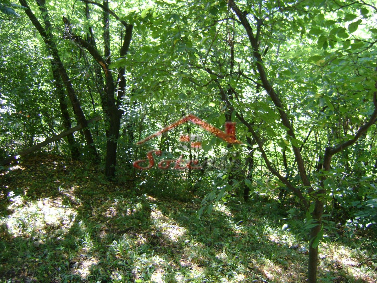 Teren de vânzare în Breaza– zonă liniștită, ideal pentru relaxare - Poză 8