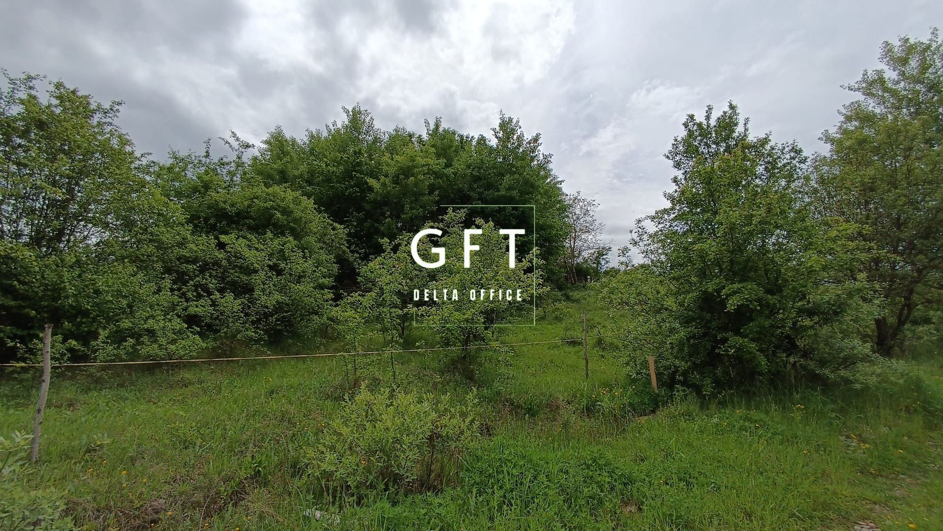 Teren Extravilan Valea Ghinzii 15 ari - Poză 2