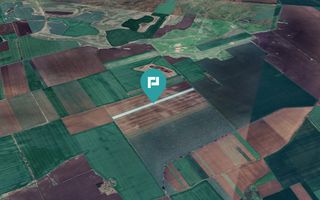 Teren 30.000 mp la drum asfaltat – Peciu Nou - Poză 2