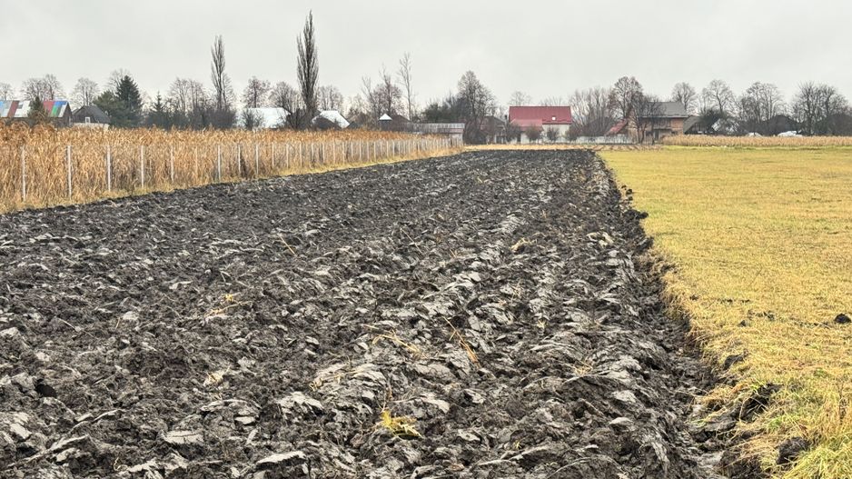 Teren 24 Ari | Horodnic de Sus | Front 15 m - Poză 2