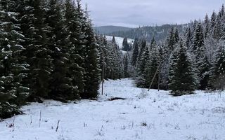 Teren cu Puz pe aprobat, loturi Poiana Horea, Cluj. - Poză 1