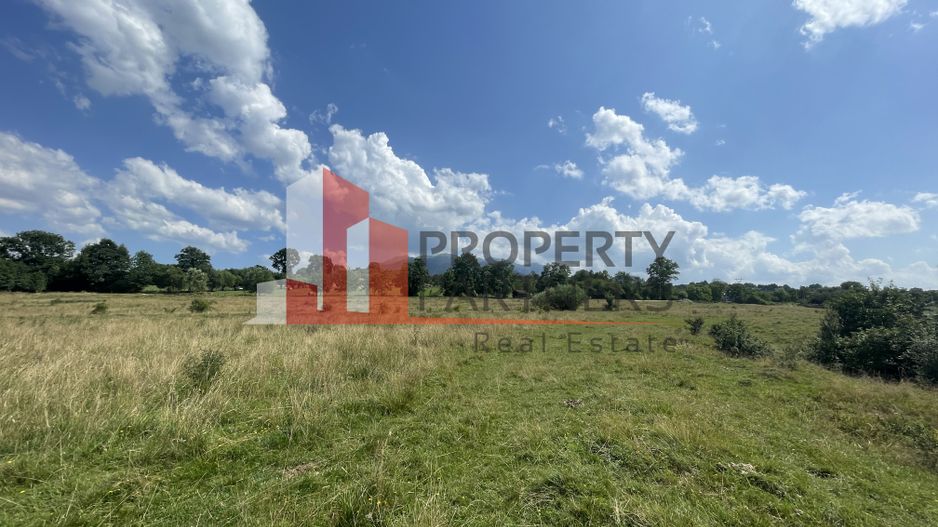 Teren de vanzare in  Tohanu Nou-Sohodol 6200 mp - Poză 9