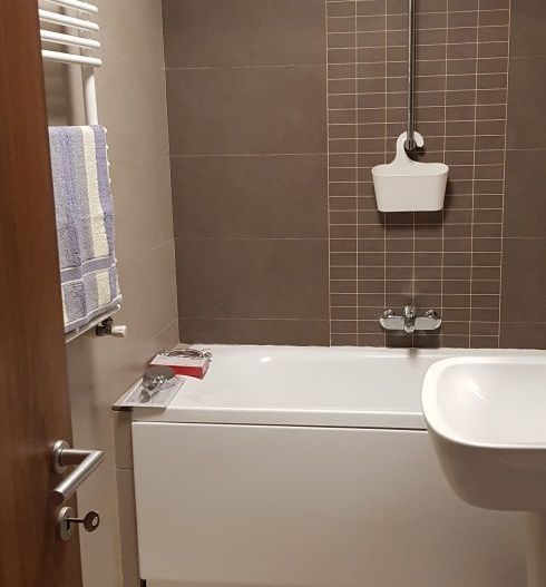 BRASADAS închiriază garsoniera etaj 1 Sp Independenței. - Poză 2