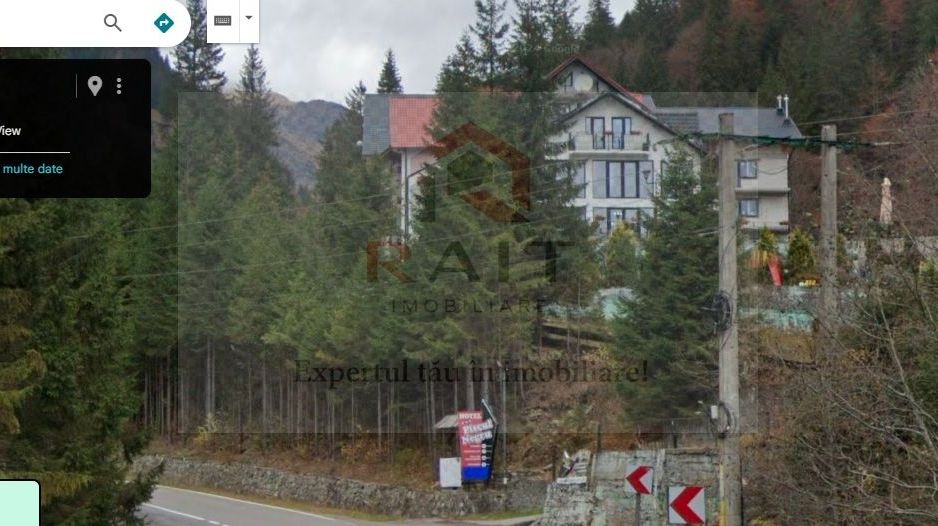 TEREN EXTRAVILAN PADURE PISCUL NEGRU ARGES - Poză 5