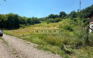 Teren intravilan 3.667 mp de vânzare – Str. Cismea, Botoșani - Poză 3