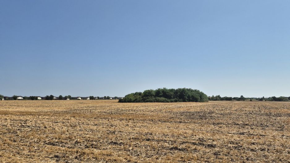 Teren intravilan 4428 mp - Balotesti - Poză 2