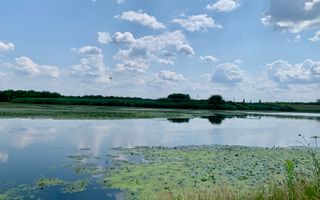 Teren Crevedia 62000 mp - Poză 8