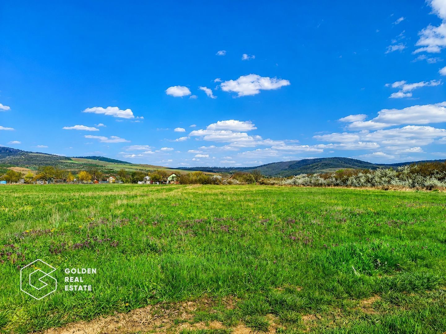 Teren agricol extravilan 250,47 ha, Șiștarovăț, județul Arad - Poză 1
