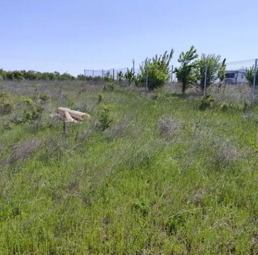 Teren intravilan Peris | 400 mp | Oportunitate investitie - Poză 6