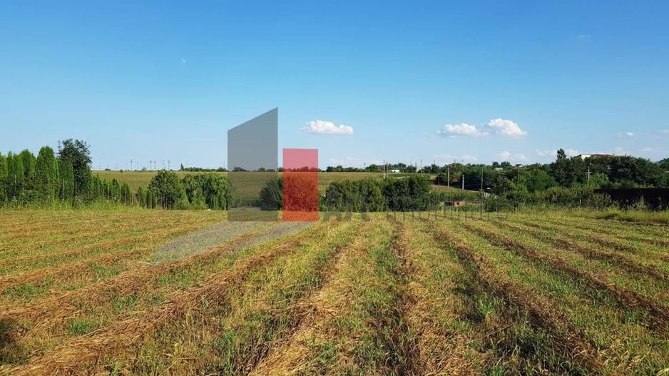 Teren Adunații Copăceni - Poză 9