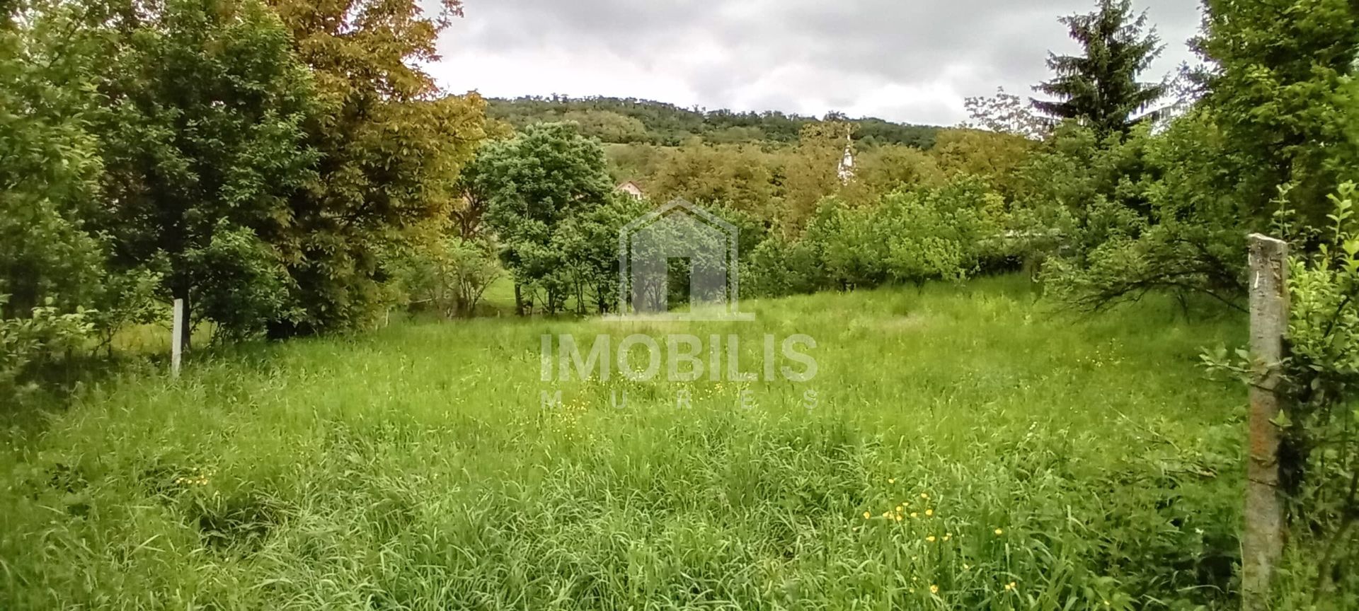 Teren intravilan | Budiu Mic | 994 mp - Poză 2