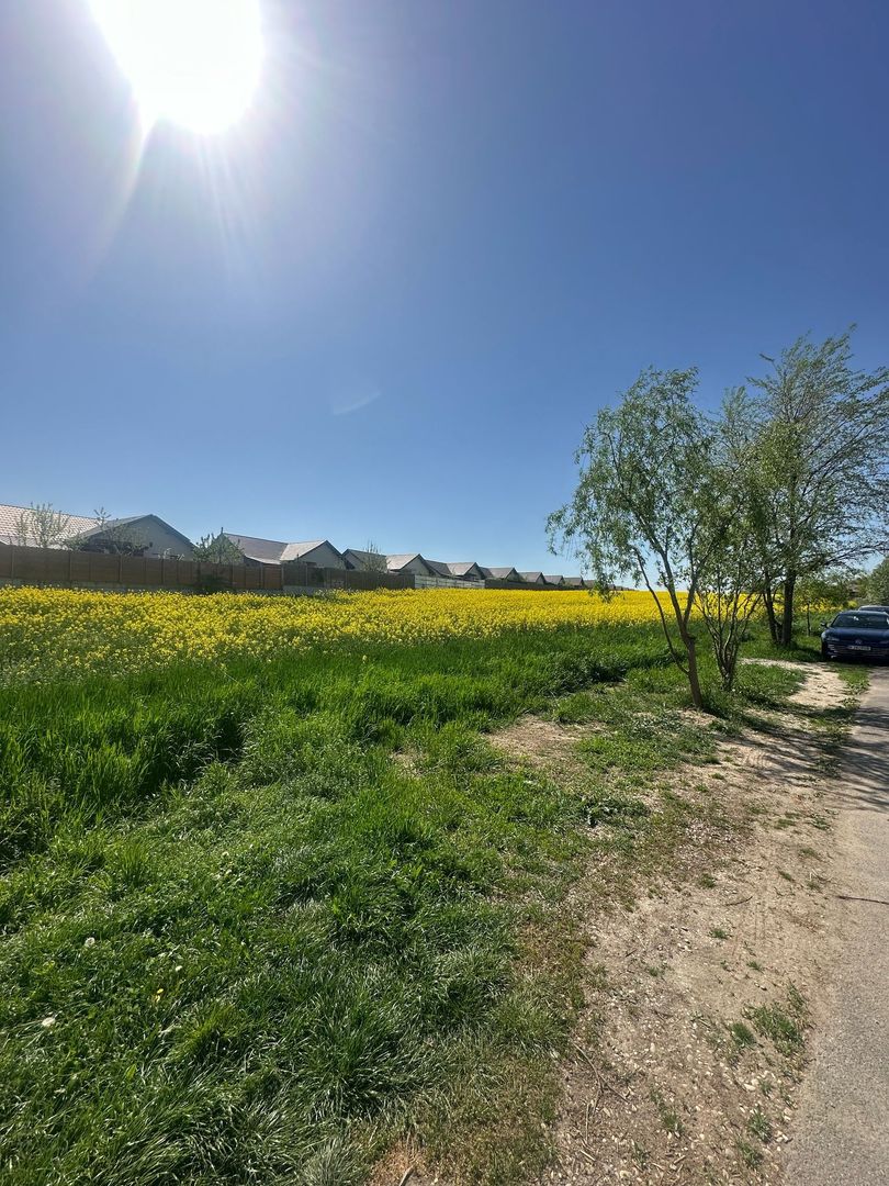 Teren intravilan 26.300 mp Saftica Balotesti-  PUZ în lucru - Poză 20