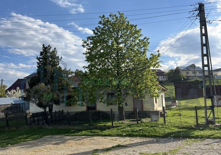 Teren 4000 mp cu casă și construcții anexe, Buhalnița, județul Iași - Poză 1