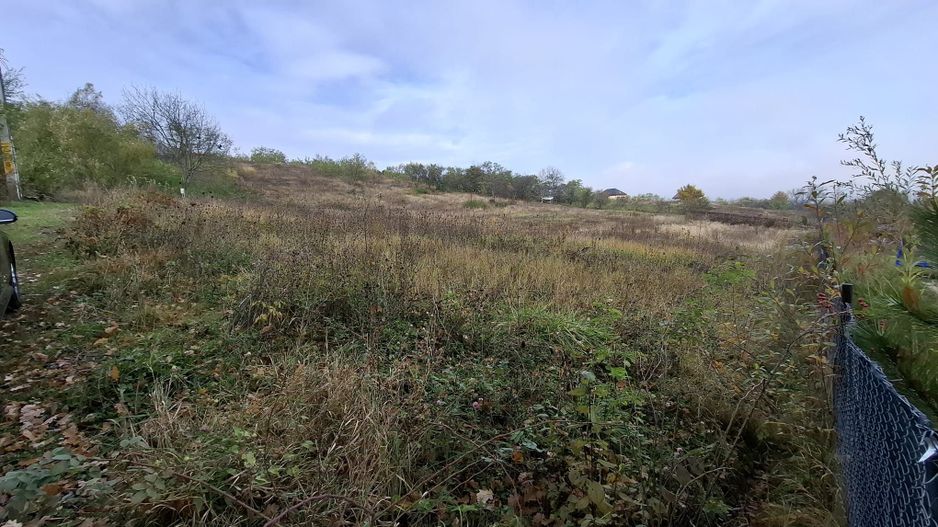 Teren intravilan de vânzare în Gârleni de Sus, Bacău – 6.000 mp - Poză 1